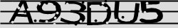 Retype the CAPTCHA code from the image